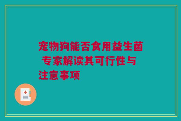 宠物狗能否食用益生菌 专家解读其可行性与注意事项