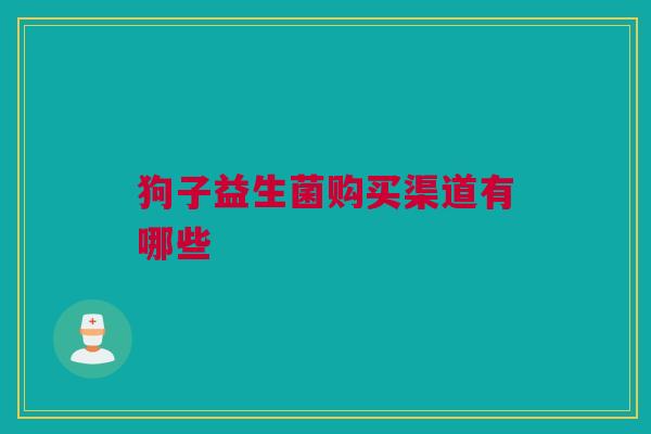 狗子益生菌购买渠道有哪些