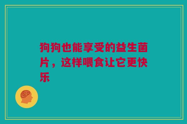 狗狗也能享受的益生菌片，这样喂食让它更快乐