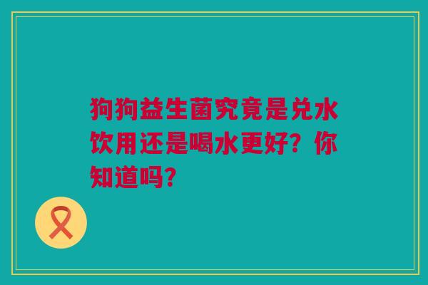 狗狗益生菌究竟是兑水饮用还是喝水更好？你知道吗？