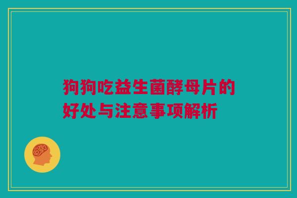狗狗吃益生菌酵母片的好处与注意事项解析