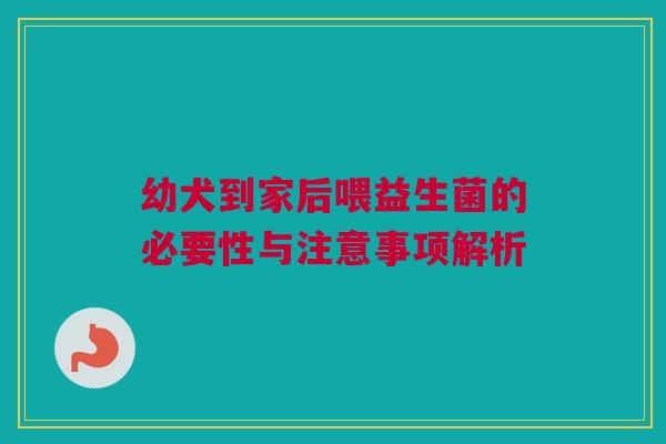 幼犬到家后喂益生菌的必要性与注意事项解析