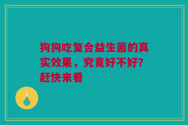 狗狗吃复合益生菌的真实效果，究竟好不好？赶快来看