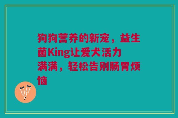 狗狗营养的新宠，益生菌King让爱犬活力满满，轻松告别肠胃烦恼