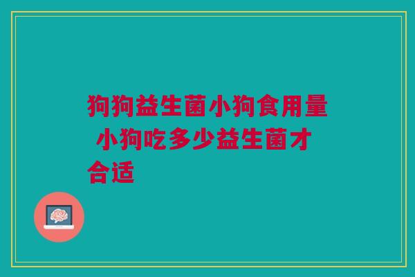 狗狗益生菌小狗食用量 小狗吃多少益生菌才合适