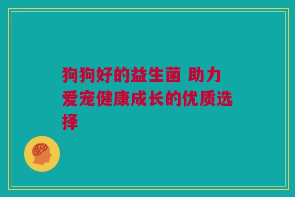 狗狗好的益生菌 助力爱宠健康成长的优质选择