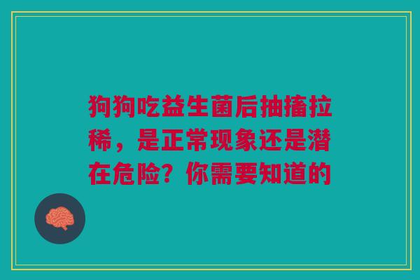 狗狗吃益生菌后抽搐拉稀，是正常现象还是潜在危险？你需要知道的