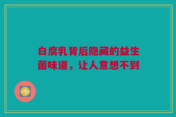 白腐乳背后隐藏的益生菌味道，让人意想不到