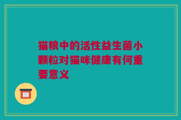 猫粮中的活性益生菌小颗粒对猫咪健康有何重要意义