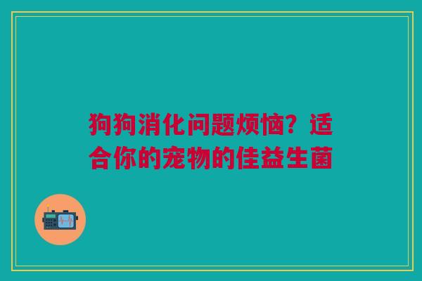 狗狗消化问题烦恼？适合你的宠物的佳益生菌