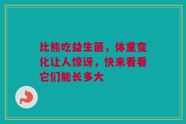 比熊吃益生菌，体重变化让人惊讶，快来看看它们能长多大