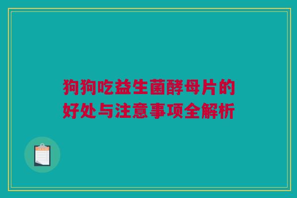 狗狗吃益生菌酵母片的好处与注意事项全解析