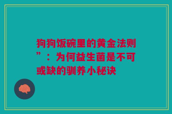 狗狗饭碗里的黄金法则”：为何益生菌是不可或缺的驯养小秘诀