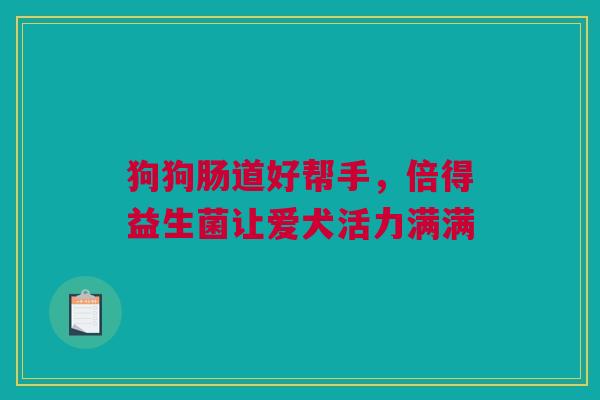 狗狗肠道好帮手，倍得益生菌让爱犬活力满满