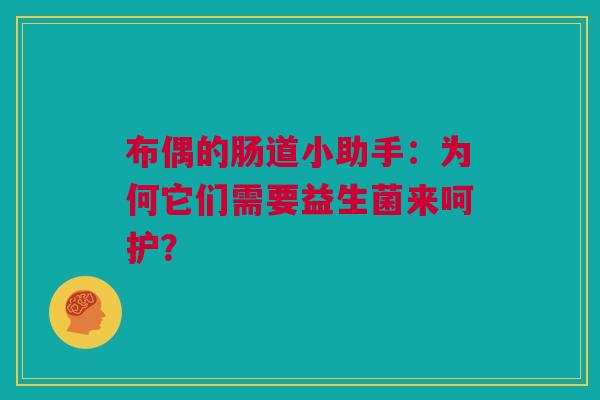 布偶的肠道小助手：为何它们需要益生菌来呵护？