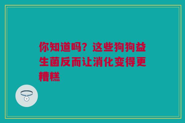 你知道吗？这些狗狗益生菌反而让消化变得更糟糕