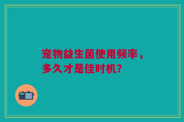 宠物益生菌使用频率，多久才是佳时机？