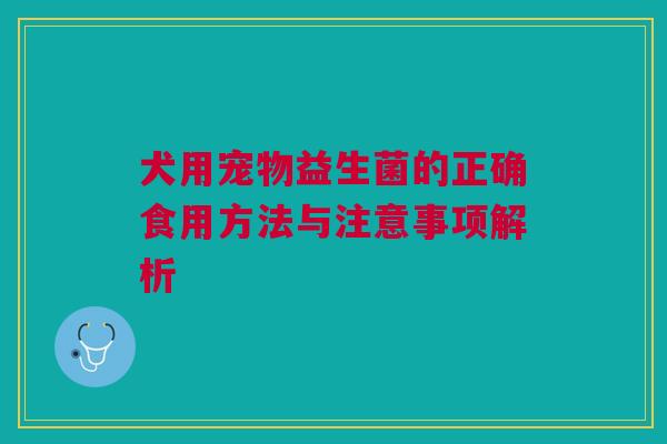 犬用宠物益生菌的正确食用方法与注意事项解析