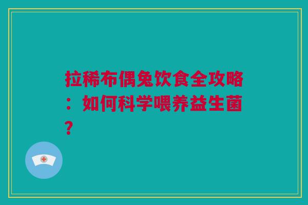 拉稀布偶兔饮食全攻略：如何科学喂养益生菌？