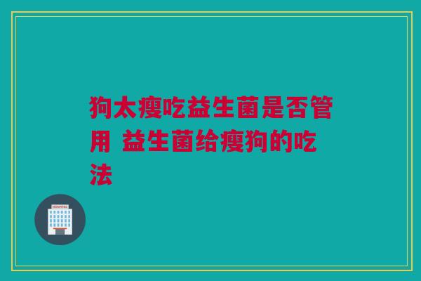 狗太瘦吃益生菌是否管用 益生菌给瘦狗的吃法