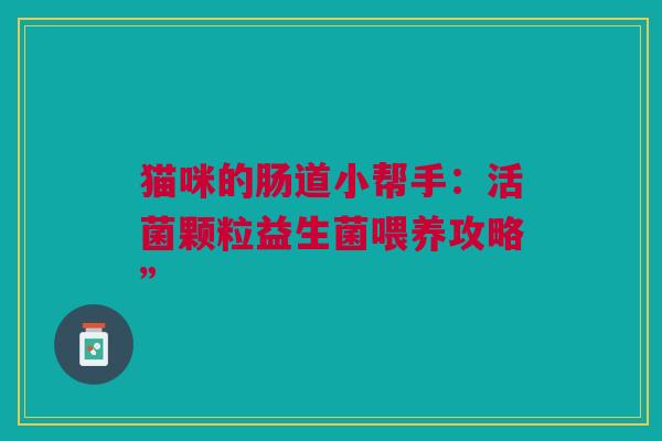 猫咪的肠道小帮手：活菌颗粒益生菌喂养攻略”