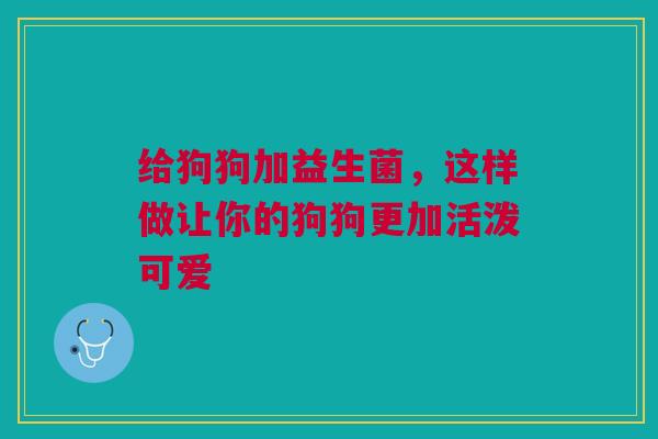 给狗狗加益生菌，这样做让你的狗狗更加活泼可爱
