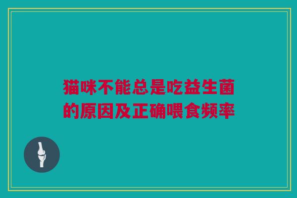 猫咪不能总是吃益生菌的原因及正确喂食频率