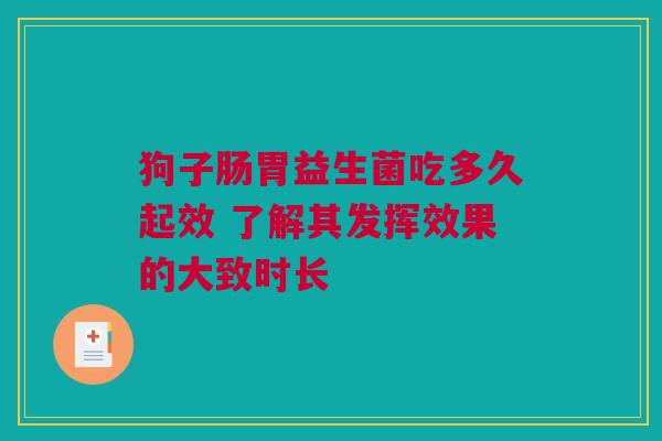 狗子肠胃益生菌吃多久起效 了解其发挥效果的大致时长