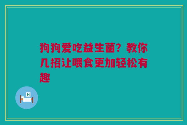 狗狗爱吃益生菌？教你几招让喂食更加轻松有趣