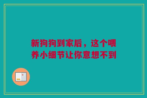 新狗狗到家后，这个喂养小细节让你意想不到